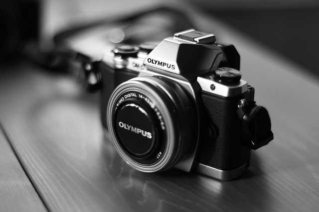 A camera, historic downtown Franklin, TN, events, shopping, restaurants, entertainment, family events, kids activities and more!